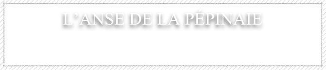 L&rsquo;anse de la p&eacute;pinaie&amp;#10;&amp;#10;
