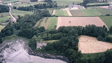 1981